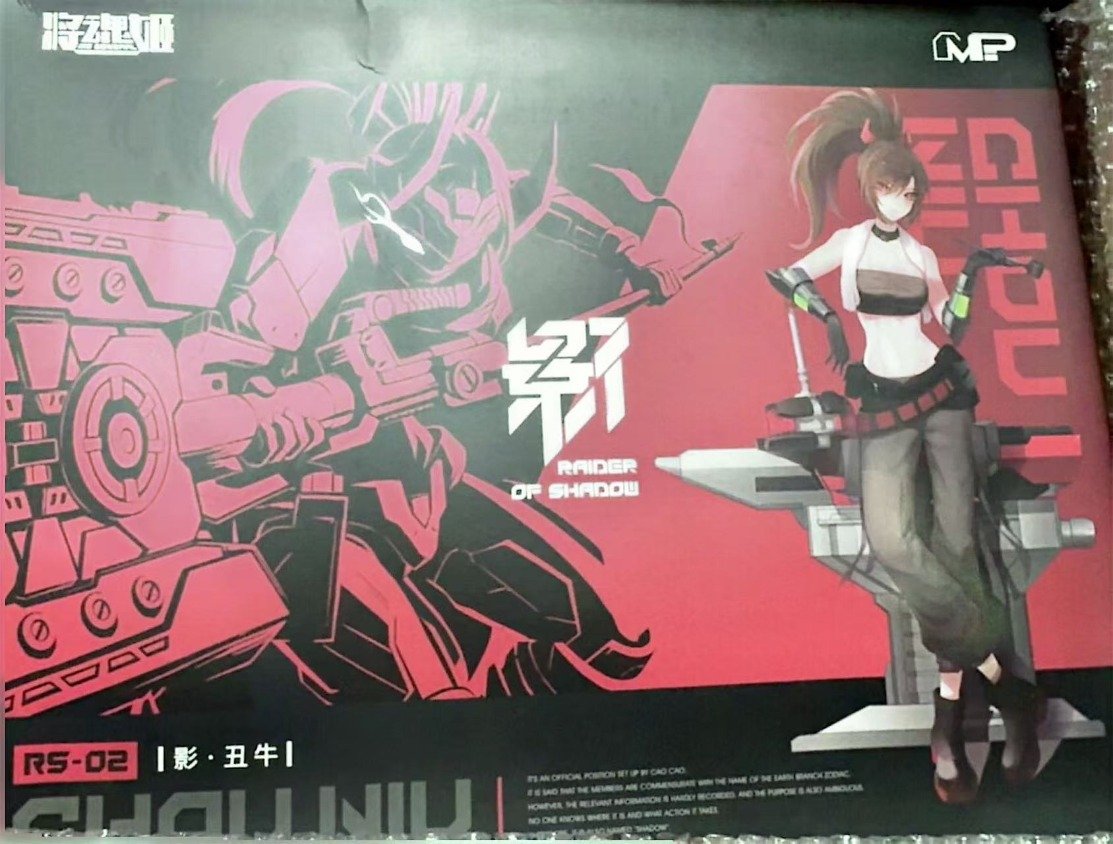 MS GENERAL Raider of Shadow RS - огляд і ціна Model Kit Ms General